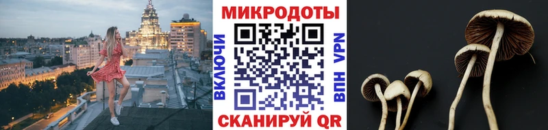 Галлюциногенные грибы GOLDEN TEACHER  наркошоп  это клад  Переславль-Залесский 